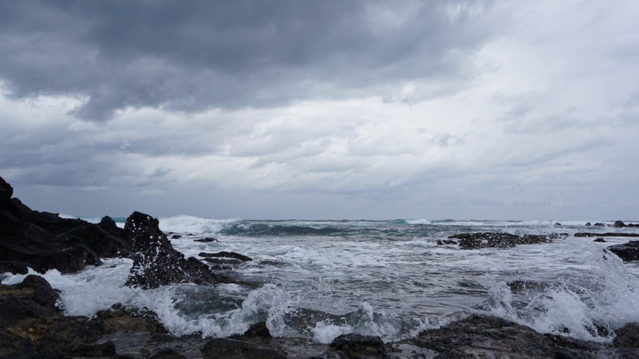 유난히도 자주…제주여행 in&nbsp;2016