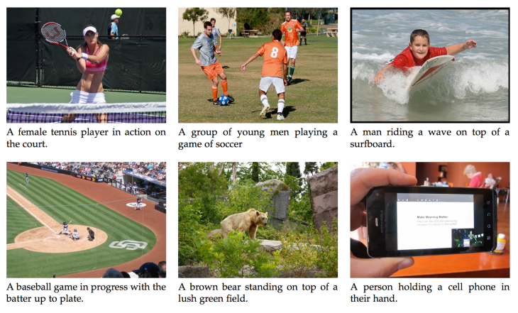 lrcns-image-description-results